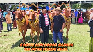 Kontes Sapi Sonok Paling Bergengsi Di Madura, Tim Putri Pisang Emas. 