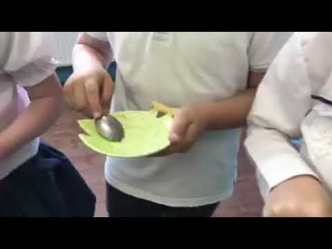 ლანჩხუთელების განსხვავებული საკრავებით შესრულებული კარმენი