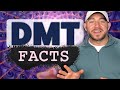 10 facts you didnt know about nndimethyltryptamine