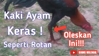 Awalnya Nggak percaya!! Kaki ayam keras seperti rotan, Oleskan Gambir dan Kunyit screenshot 3