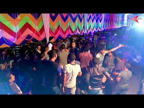 الحوت سامح المصري وفلونكة من فرحة طنيخ نبروة والفرح بيرقص