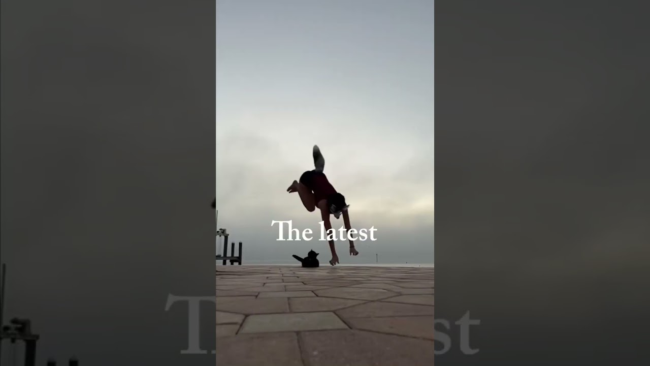 Grrrls meme🌈☄️ 🐾🐾 