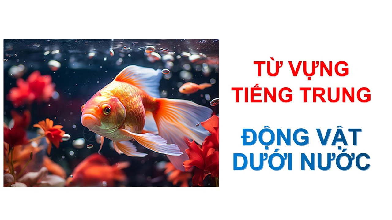 TIẾNG TRUNG SƠ CẤP - TỪ VỰNG THEO CHỦ ĐỀ - ĐỘNG VẬT DƯỚI NƯỚC