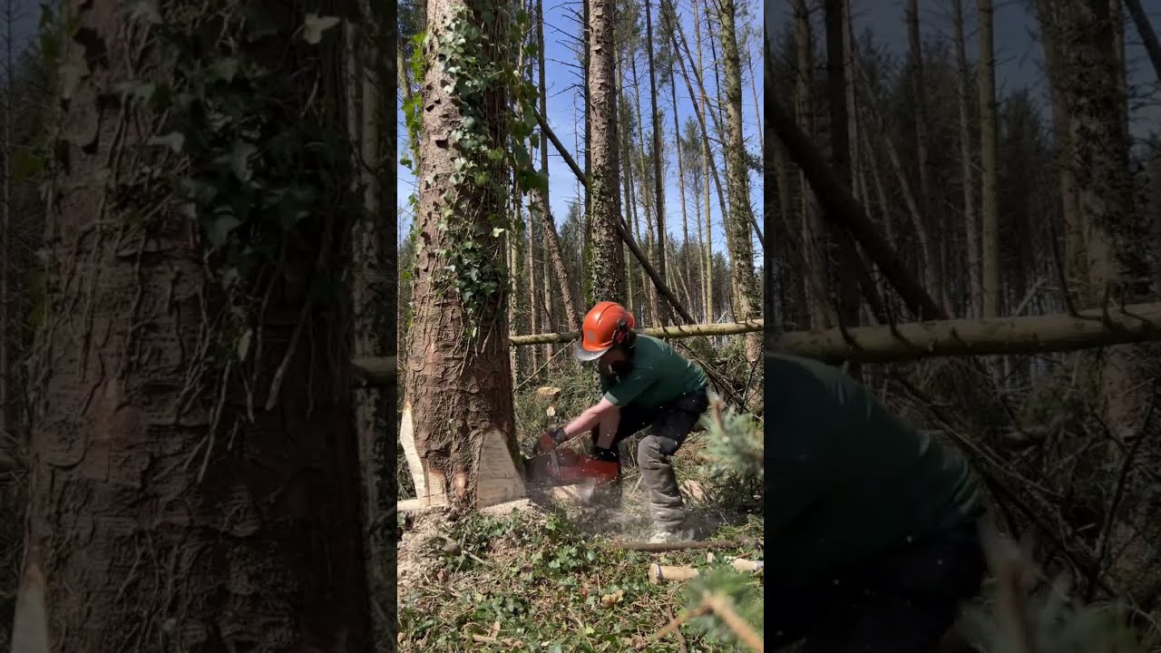 Safe and consistent training is the key...Bore out-Sweep cut-mech wedge-hung up-winch it-down safe