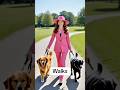 Ensuring Pet’s Daily Exercise Routine #calgary #business #pets #shorts