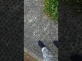 足ツボの地獄道で大発狂ｗｗｗ痛い痛い痛い！！！ #怪現象 #恐怖 #心霊