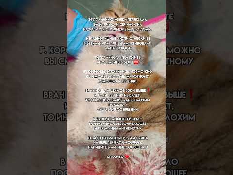 ПОМОГИТЕ НЕ ОСТАВИТЬ В БЕДЕ❗️