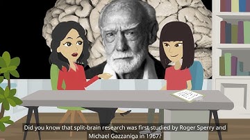 Basic Psychology: Localisation of Function in the Brain