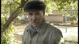 И даже МЧС оказалось бессильно Собака, заточенная в теплотрассе, отказалась выходить наружу И даже МЧС оказалось бессильно Собака, заточенная в теплотрассе, отказалась выходить наружу