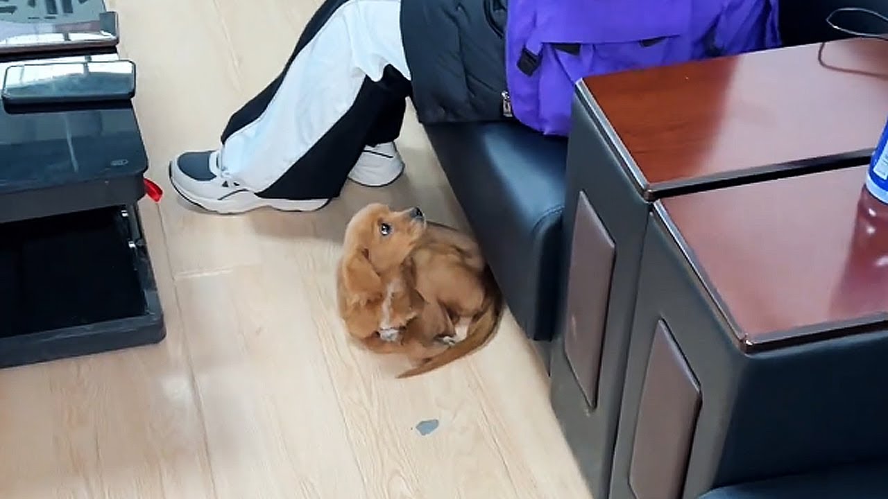 Вы ведь меня не выгоните… правда?