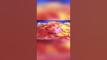 Versatile smart boards you want to own?#smartboard #education #interactive #touchscreen #technology