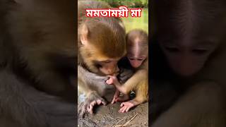 💕mother love 💕#shorts #viral #trending #love
