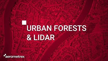 Urban Tree Canopy and Vegetation Management with Aerometrex LiDAR