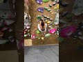Girls Can’t Dyno!? #climbing #bouldering #rizz