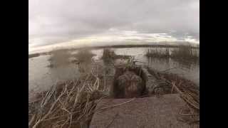Sac Refuge hunt