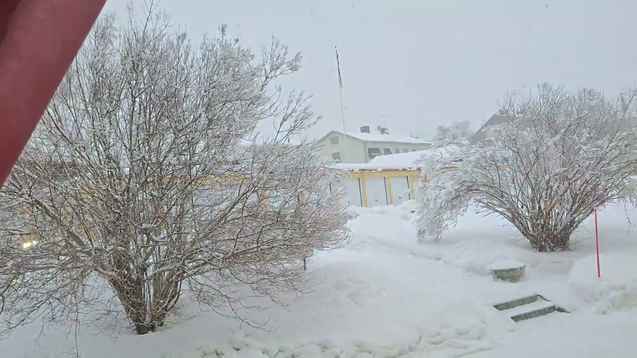 หิมะตกอีกแล้วจ้า❄️❄️🇸🇪🇹🇭🙏❤️