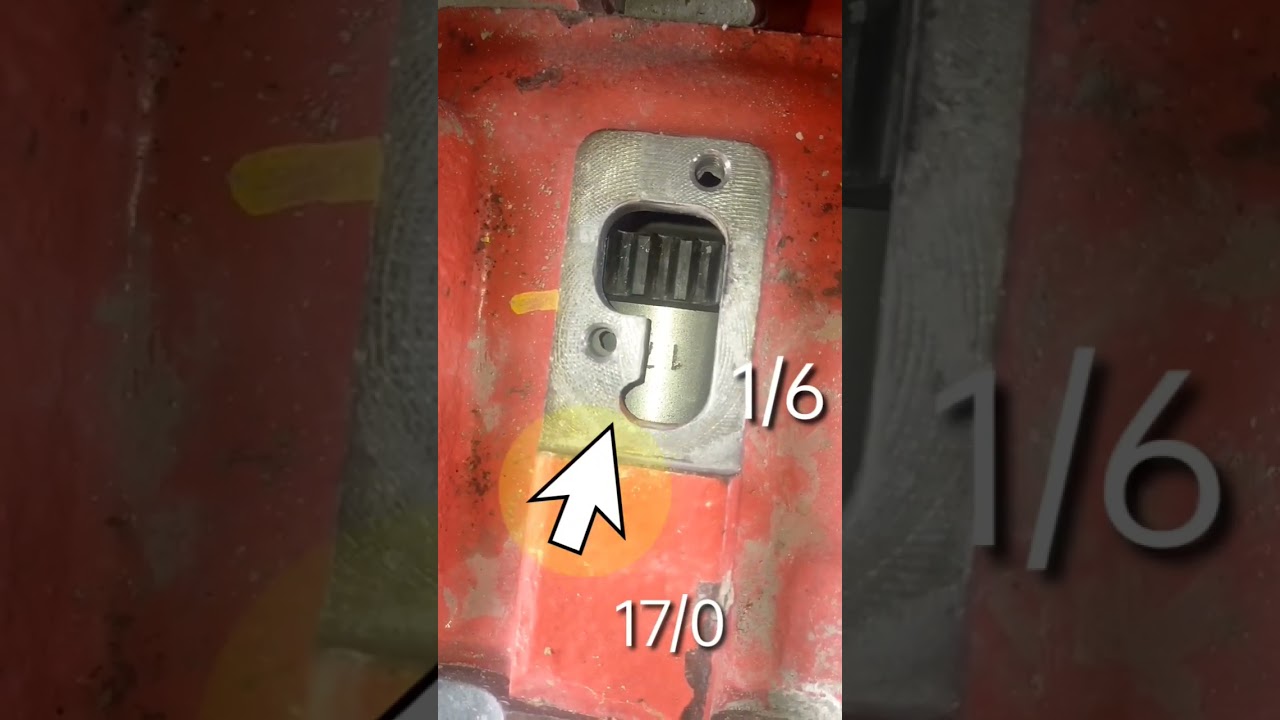 Ashok Leyland pump timing