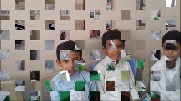 برنامج القارئ الماهر