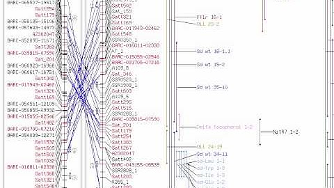 How to flip a genetic map in the SoyBase genetic map viewer