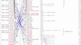 How to flip a genetic map in the SoyBase genetic map viewer