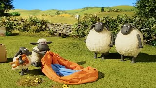 حلقة جديدة من الخروف شون Shaun the Sheep  بجودة عالية