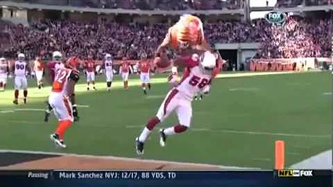 Front Flip Touchdown - Jerome Simpson