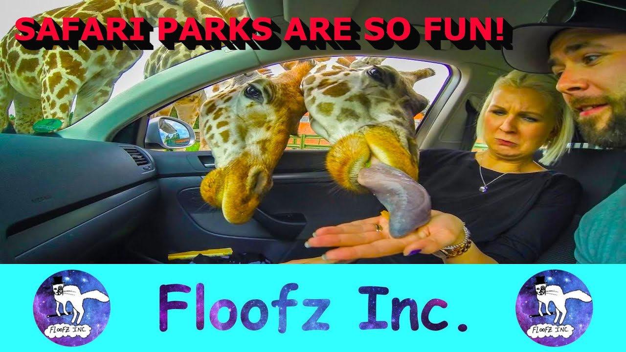 funny safari park videos