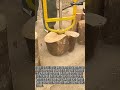 도끼 없이 장작 패는 혁신적인 도구 #craft #machine #tools #woodworking #logsplitter