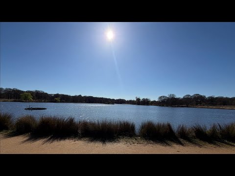 A day out exploring Richmond Park