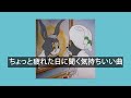 【playlist】ちょっと疲れた日に聞く気持ちいい曲 (relax, work, reading)