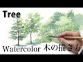 Watercolor　  Kanta Harusaki  　水彩画　春崎幹太　木の描き方