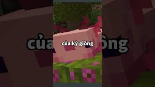im c o Ca K Nhng  Phin Bn Bedrock minecraft shorts