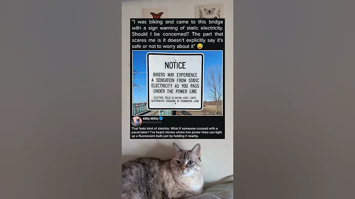 The Most Ominous Bridge Warning