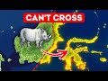 This Invisible Line Stops Animals — Here’s the Reason