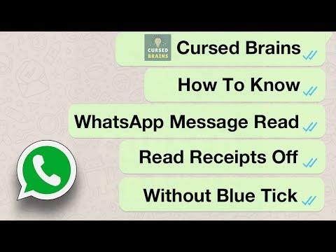 How To Know WhatsApp Message Read - Read Receipts Off - Without Blue Tick