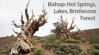 Exploring Bishop, CA: Hot Springs, Lakes & Ancient Bristlecones