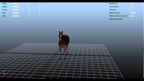 Level of Detail (LOD)