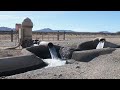 Tensions are bubbling up at thirsty Arizona alfalfa farms as foreign firms exploit unregulated water