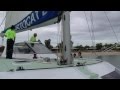 Dolphins at Monkey Mia (Western Australia) 2011 - Brian Shirtliff