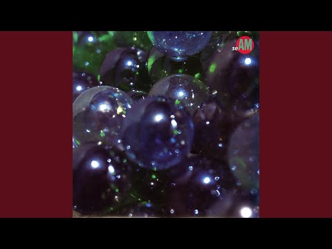 Seam — Autopilot