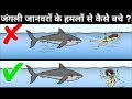 How to Survive from Wild Animal Attacks in HINDI