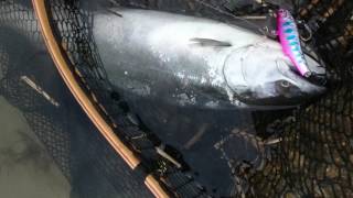 バスデイ orcレンジバイブでサクラマス! 富山