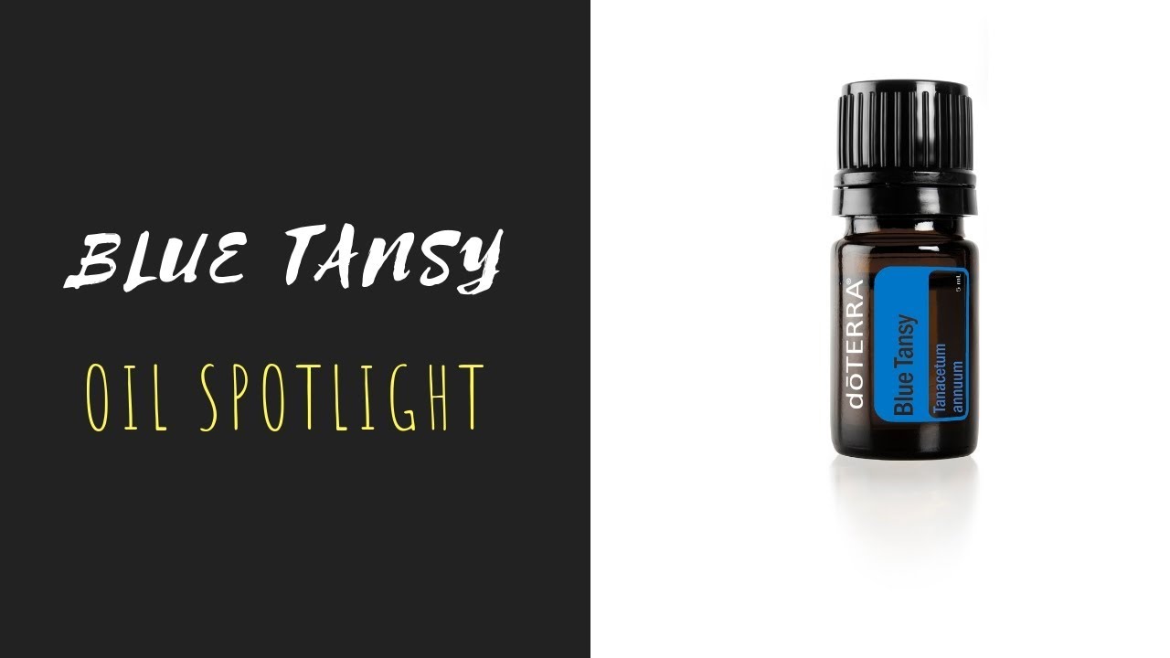 Blue Tansy - doTERRA Essential Oil Spotlight - YouTube