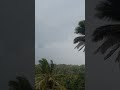 വേനല്മഴ #youtubeshorts #rain #monsoon #vibes #nature #trending #youtube #shorts #viral #malayalam