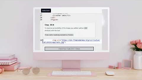 Learn HTML by Building a Cat Photo App - Step 30