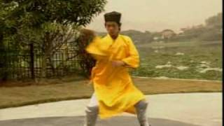 WuDang Yang Xin Yi WuDang Yang Xin Yi
