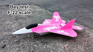 Bay test F-22 Raptor scale màu hồng || #4dmodel #Shorts