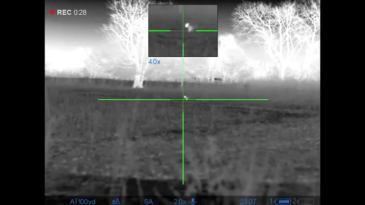 This coyote loved the foxpro