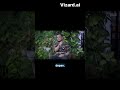Rekaman Penampakan Kuntilanak di Rumah Panji! - Part 2