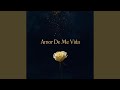 Amor De Me Vida (Live)